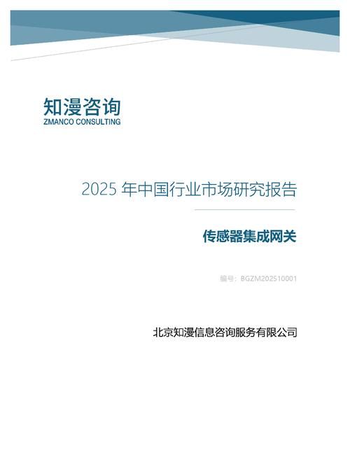 2025年中国传感器集成网关行业市场研究报告