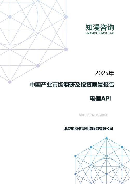 2025年中国电信API产业市场调研及投资前景报告