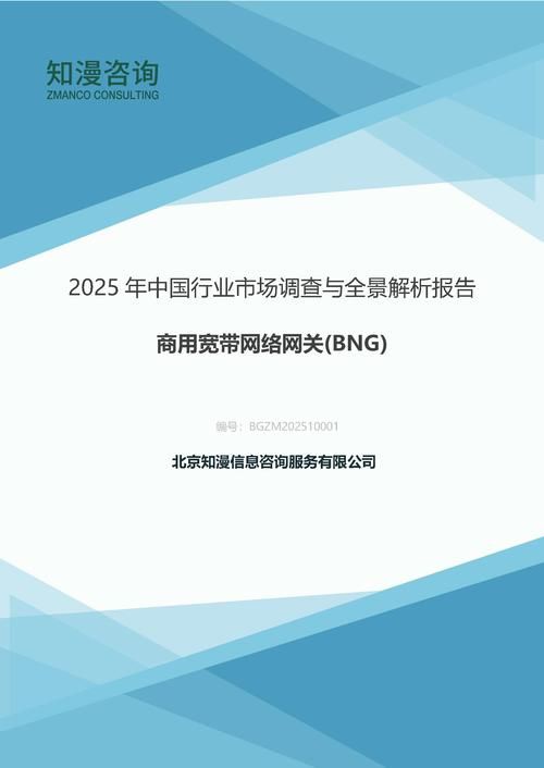 2025年中国商用宽带网络网关(BNG)行业市场调查与全景解析报告