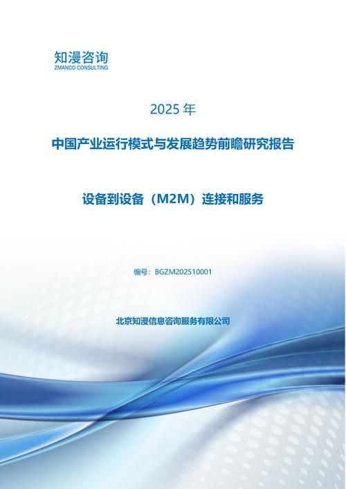 2025年中国设备到设备（M2M）连接和服务产业运行模式与发展趋势前瞻研究报告