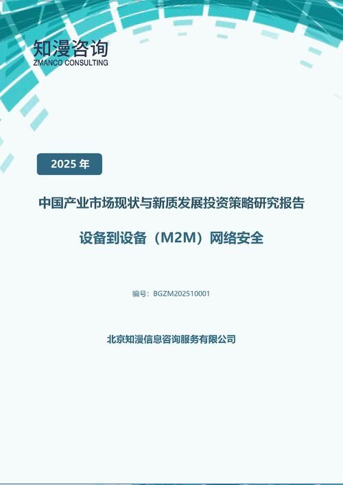 2025年中国设备到设备（M2M）网络安全产业市场现状与新质发展投资策略研究报告