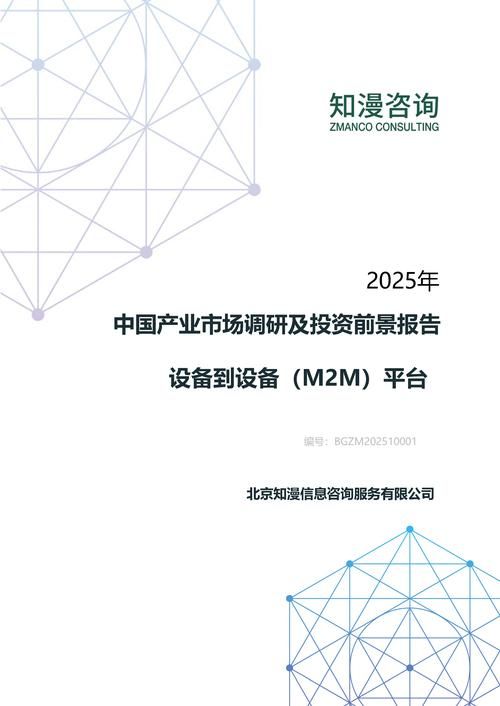 2025年中国设备到设备（M2M）平台产业市场调研及投资前景报告