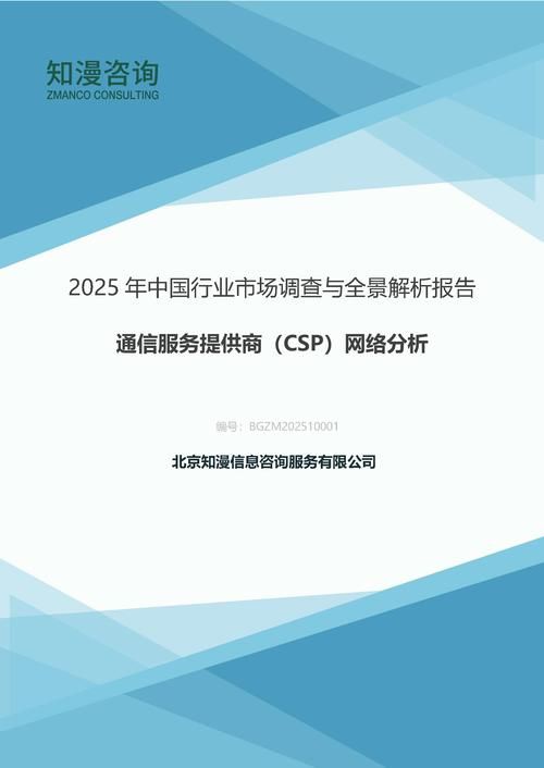 2025年中国通信服务提供商（CSP）网络分析行业市场调查与全景解析报告