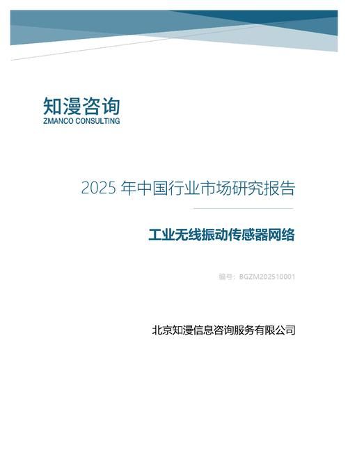 2025年中国工业无线振动传感器网络行业市场研究报告