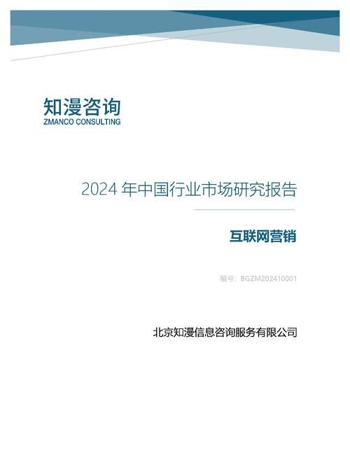 2024年中国互联网营销行业市场研究报告