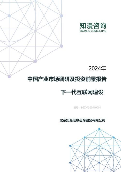 2024年中国下一代互联网建设产业市场调研及投资前景报告