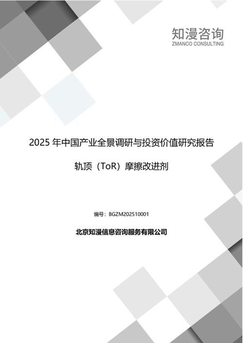 2025年中国轨顶（ToR）摩擦改进剂产业全景调研与投资价值研究报告