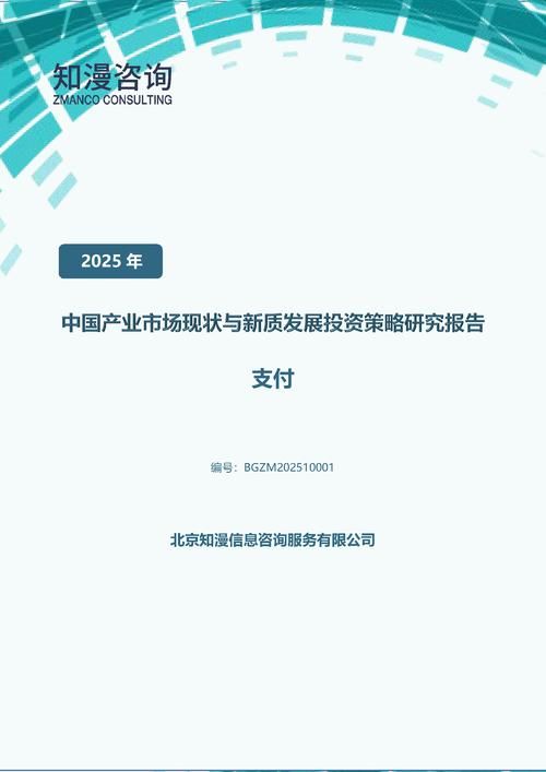 2025年中国支付产业市场现状与新质发展投资策略研究报告
