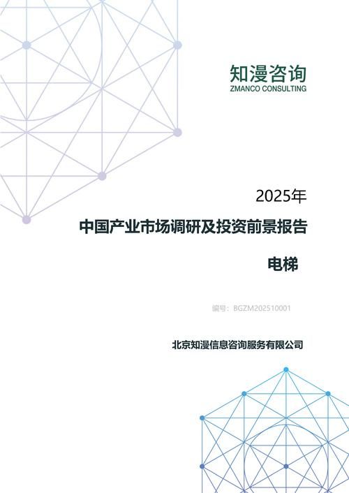2025年中国电梯产业市场调研及投资前景报告