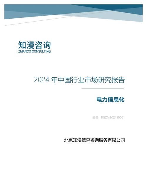 2024年中国电力信息化行业市场研究报告