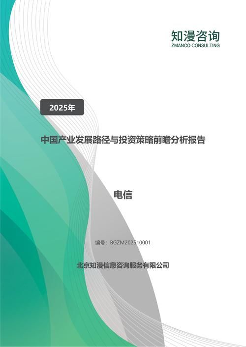 2025年中国电信产业发展路径与投资策略前瞻分析报告