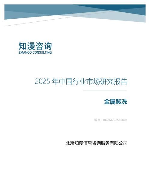 2025年中国金属酸洗行业市场研究报告