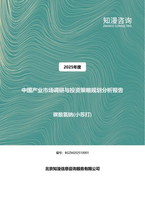 2025年中国碳酸氢钠(小苏打)产业市场调研与投资策略规划分析报告
