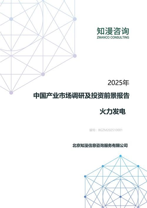 2025年中国火力发电产业市场调研及投资前景报告