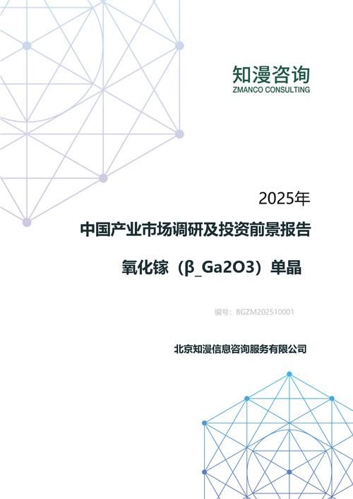 2025年中国氧化镓（β_Ga2O3）单晶产业市场调研及投资前景报告
