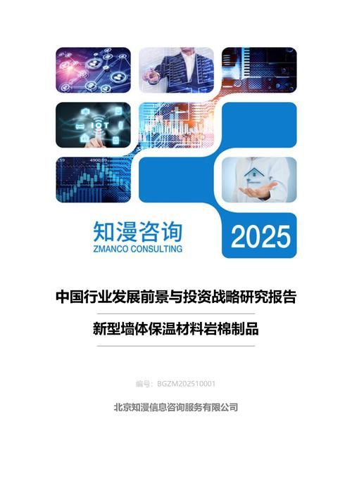 2025年中国新型墙体保温材料岩棉制品行业发展前景与投资战略研究报告