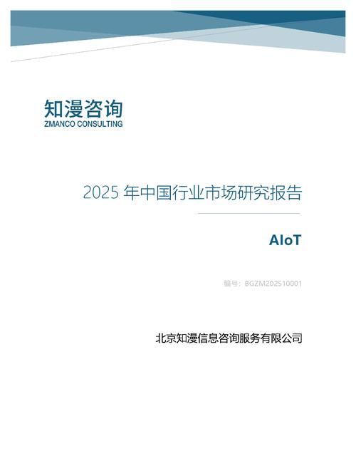 2025年中国AIoT行业市场研究报告