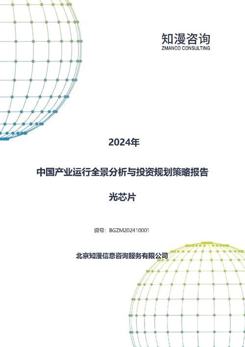 2024年中国光芯片产业运行全景分析与投资规划策略报告