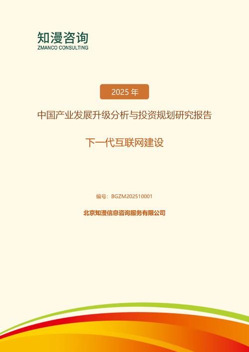 2025年中国下一代互联网建设产业发展升级分析与投资规划研究报告