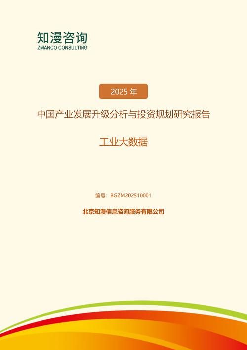 2025年中国工业大数据产业发展升级分析与投资规划研究报告