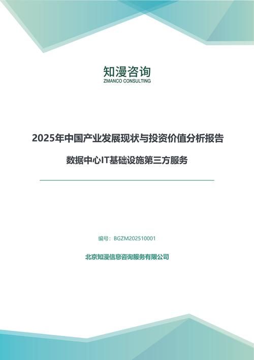 2025年中国数据中心IT基础设施第三方服务产业发展现状与投资价值分析报告