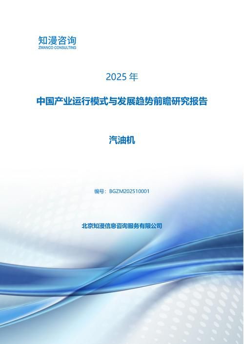 2025年中国汽油机产业运行模式与发展趋势前瞻研究报告