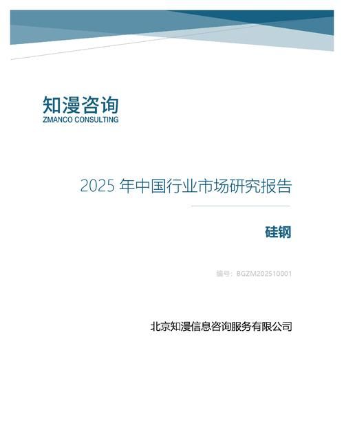 2025年中国硅钢行业市场研究报告