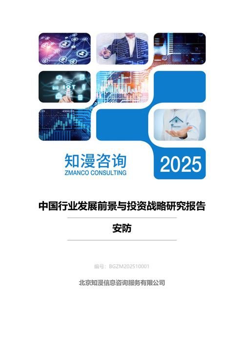 2025年中国安防行业发展前景与投资战略研究报告
