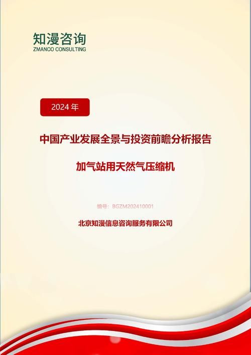 2024年中国加气站用天然气压缩机产业发展全景与投资前瞻分析报告