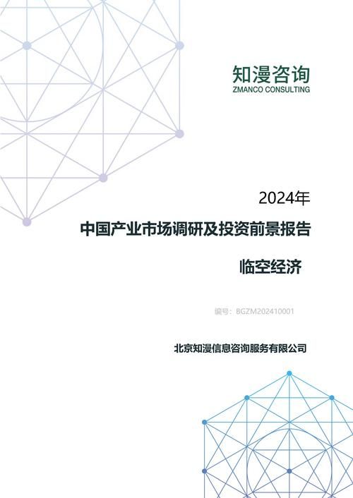 2024年中国临空经济产业市场调研及投资前景报告
