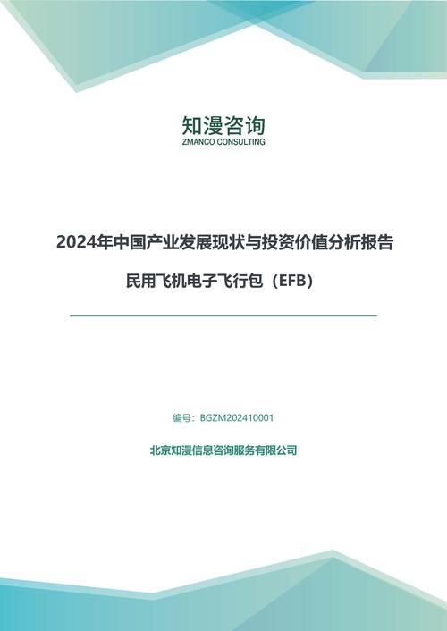 2024年中国民用飞机电子飞行包（EFB）产业发展现状与投资价值分析报告