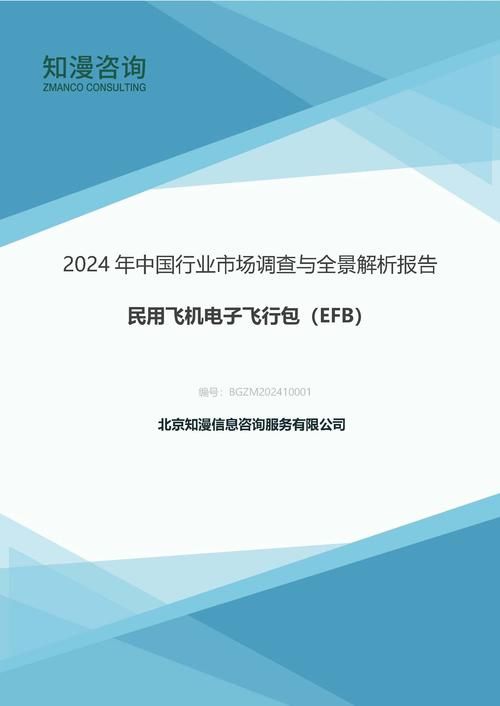 2024年中国民用飞机电子飞行包（EFB）行业市场调查与全景解析报告