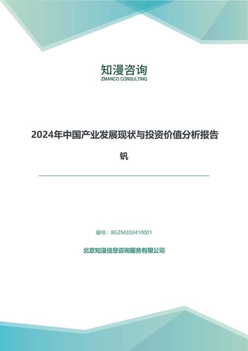 2024年中国钒产业发展现状与投资价值分析报告