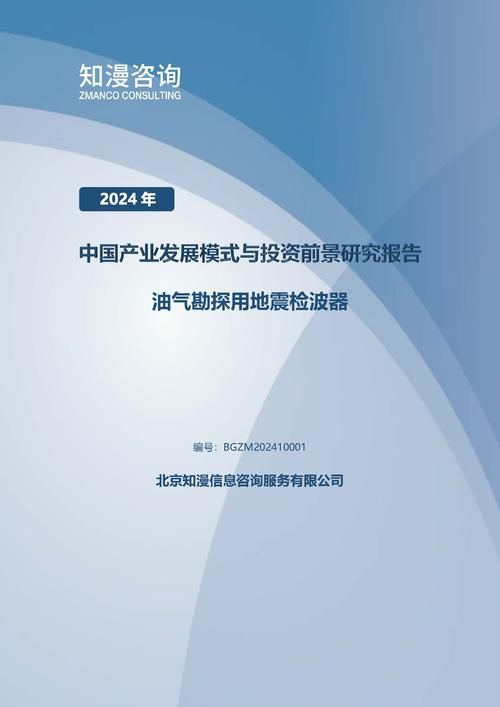 2024年中国油气勘探用地震检波器产业发展模式与投资前景研究报告