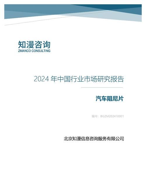 2024年中国汽车阻尼片行业市场研究报告