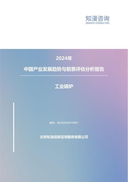 2024年中国工业锅炉产业发展趋势与前景评估分析报告