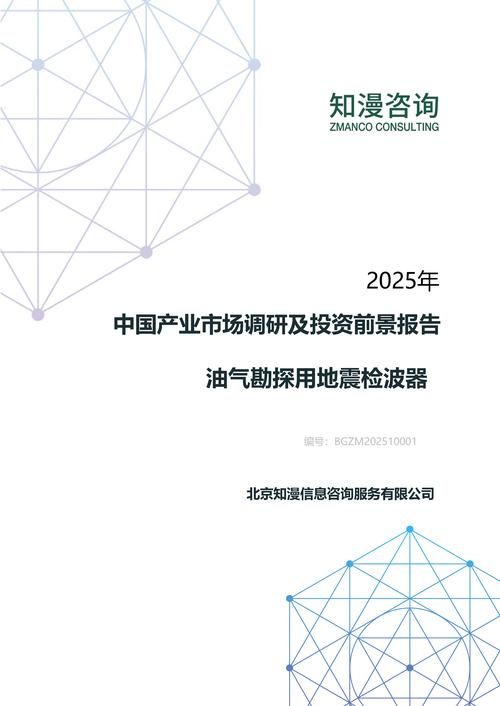 2025年中国油气勘探用地震检波器产业市场调研及投资前景报告