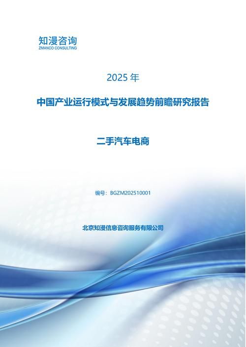 2025年中国二手汽车电商产业运行模式与发展趋势前瞻研究报告