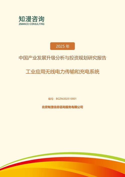 2025年中国工业应用无线电力传输和充电系统产业发展升级分析与投资规划研究报告