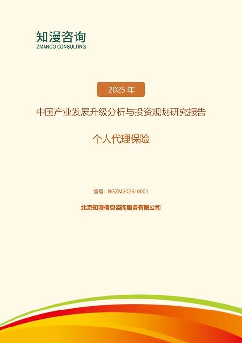 2025年中国个人代理保险产业发展升级分析与投资规划研究报告
