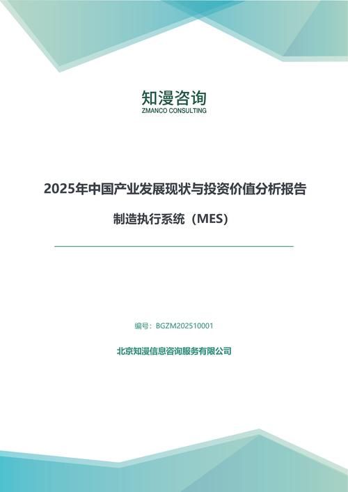 2025年中国制造执行系统（MES）产业发展现状与投资价值分析报告
