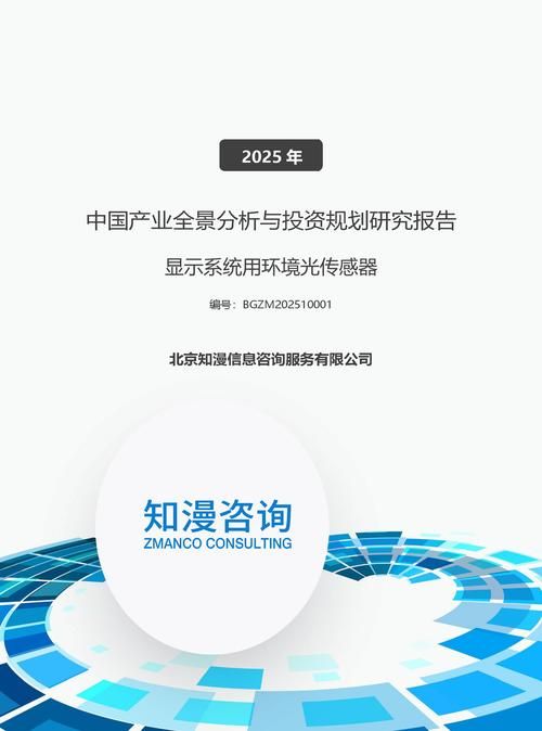 2025年中国显示系统用环境光传感器产业全景分析与投资规划研究报告