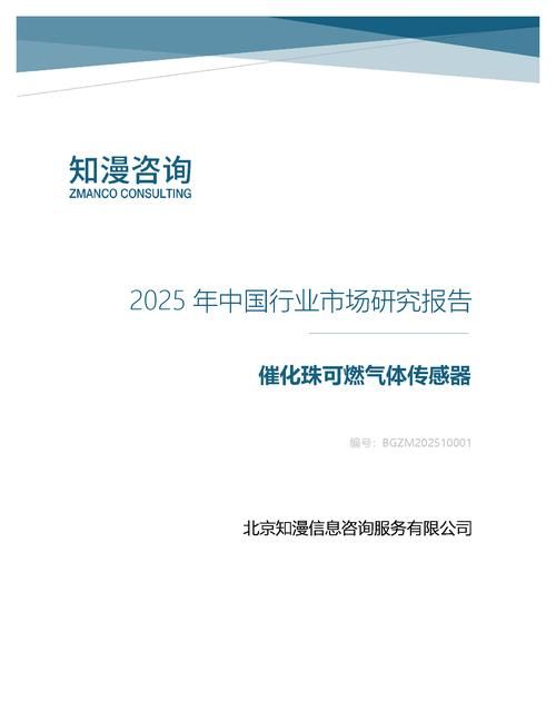 2025年中国催化珠可燃气体传感器行业市场研究报告