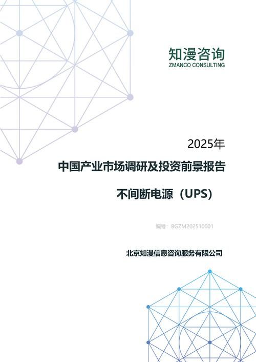 2025年中国不间断电源（UPS）产业市场调研及投资前景报告