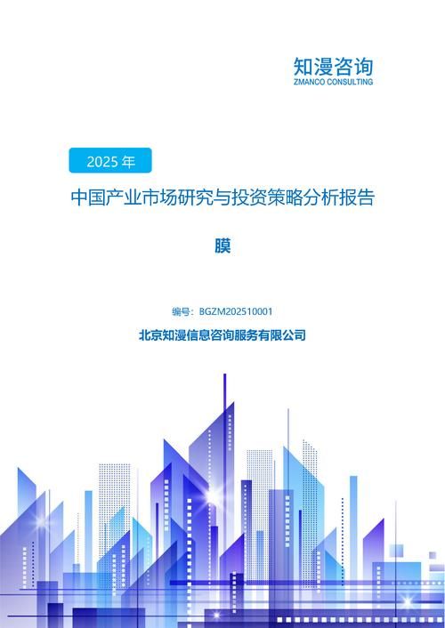 2025年中国膜产业市场研究与投资策略分析报告