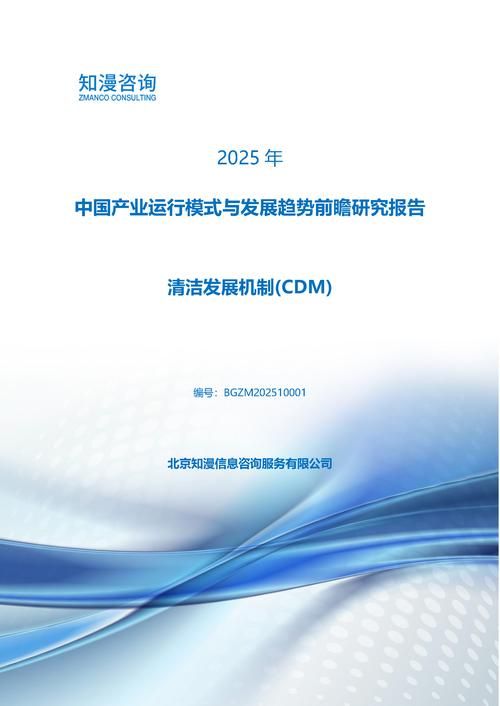 2025年中国清洁发展机制(CDM)产业运行模式与发展趋势前瞻研究报告