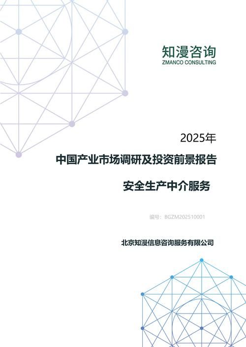 2025年中国安全生产中介服务产业市场调研及投资前景报告