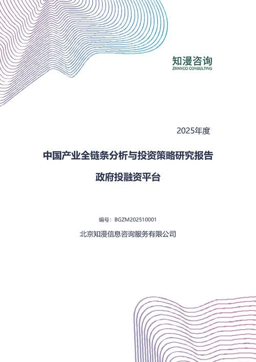 2025年中国政府投融资平台产业全链条分析与投资策略研究报告