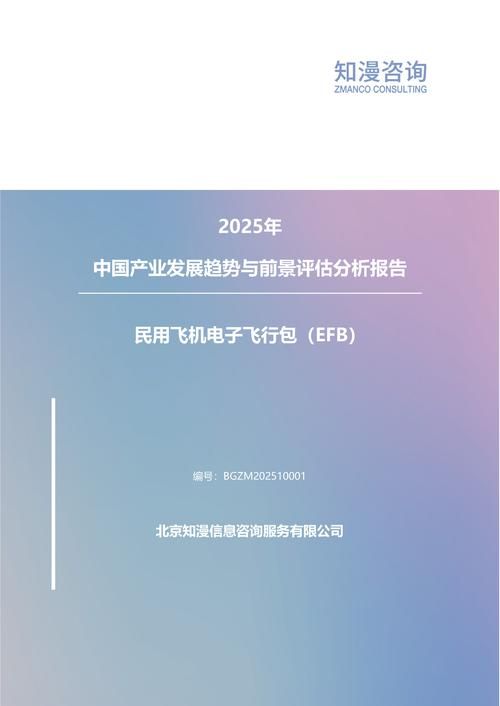 2025年中国民用飞机电子飞行包（EFB）产业发展趋势与前景评估分析报告