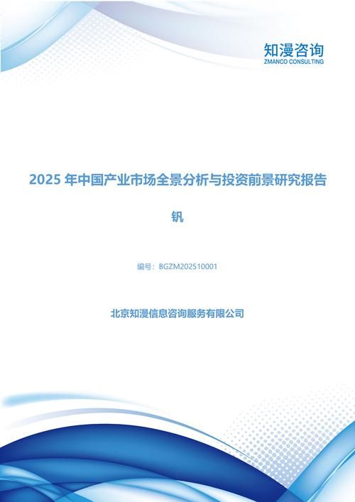 2025年中国钒产业市场全景分析与投资前景研究报告